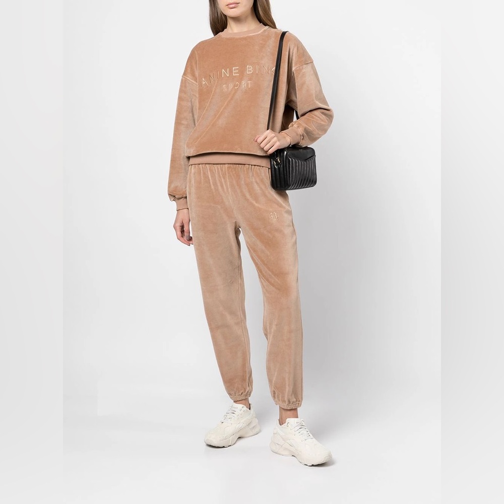 Anine Bing Beige Velour Joggers and Sweatshirt Set